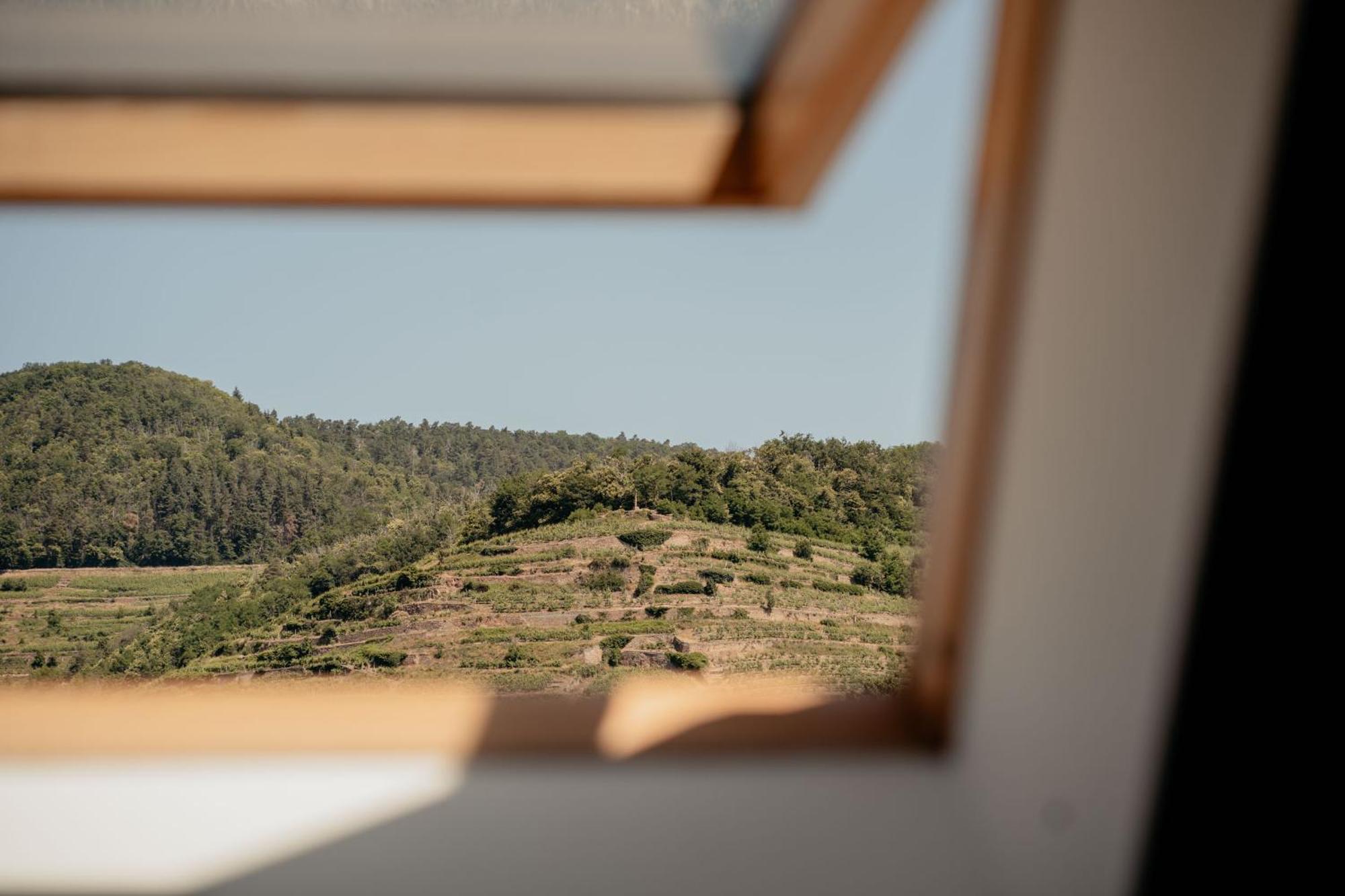Duplex Cosy Le Boho Appartement